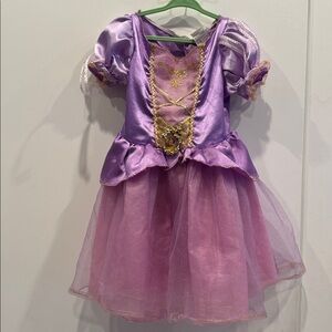 Disney Princess Costume